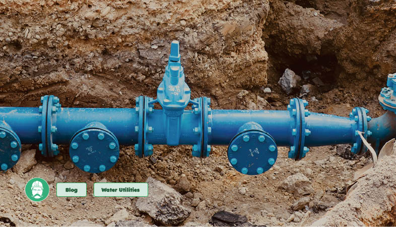 Delivering Water Capital Programmes